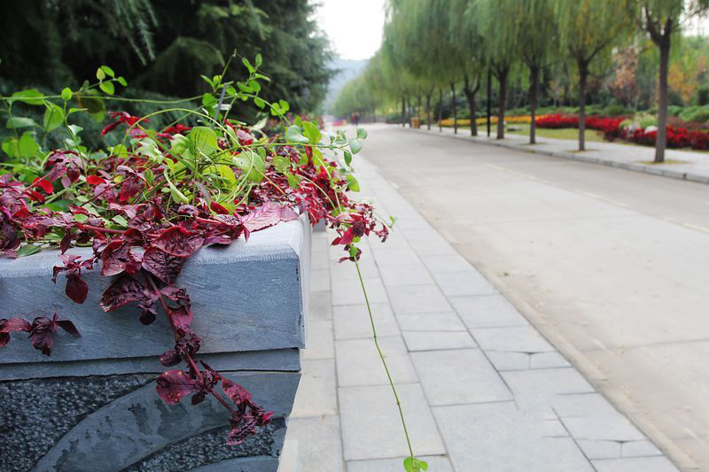 初冬旅游正此時 騎行走進(jìn)黃河風(fēng)景名勝區(qū) 初冬旅游正此時 騎行走進(jìn)黃河風(fēng)景名勝區(qū)