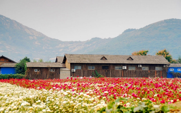 別樣蜜月，河南最適宜新婚度假的景區(qū)