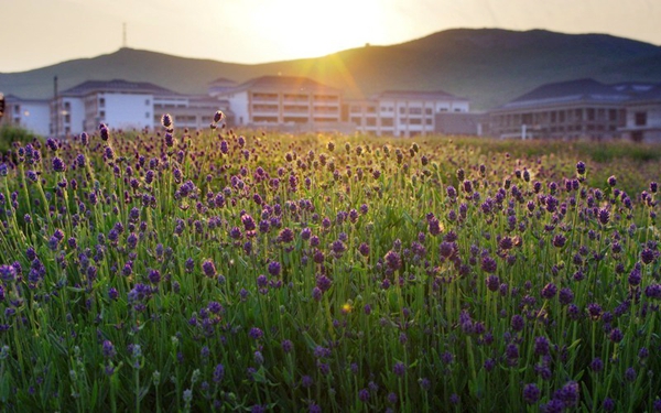 別樣蜜月，河南最適宜新婚度假的景區(qū)