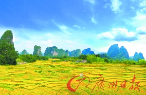 美食節(jié)品千雞宴 森林盛會秀才藝贏獎(jiǎng)品 美食節(jié)品千雞宴 森林盛會秀才藝贏獎(jiǎng)品