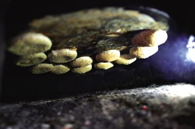 吊爐燒餅是黃驊最典型的面食之一，這種手藝在一些老院子里已經(jīng)傳承了上百年時(shí)間。