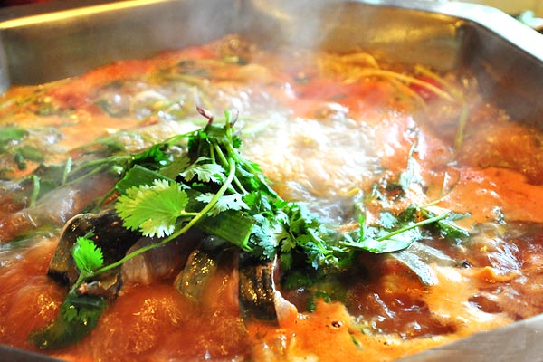 爽爽貴陽吸引吃貨小分隊 爽爽貴陽吸引吃貨小分隊