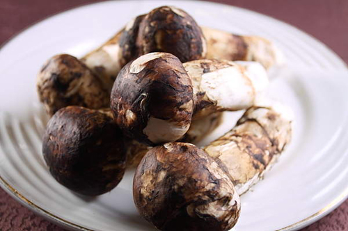 不時不吃滋補(bǔ)松茸宴 秋季進(jìn)補(bǔ)佳品 不時不吃滋補(bǔ)松茸宴 秋季進(jìn)補(bǔ)佳品