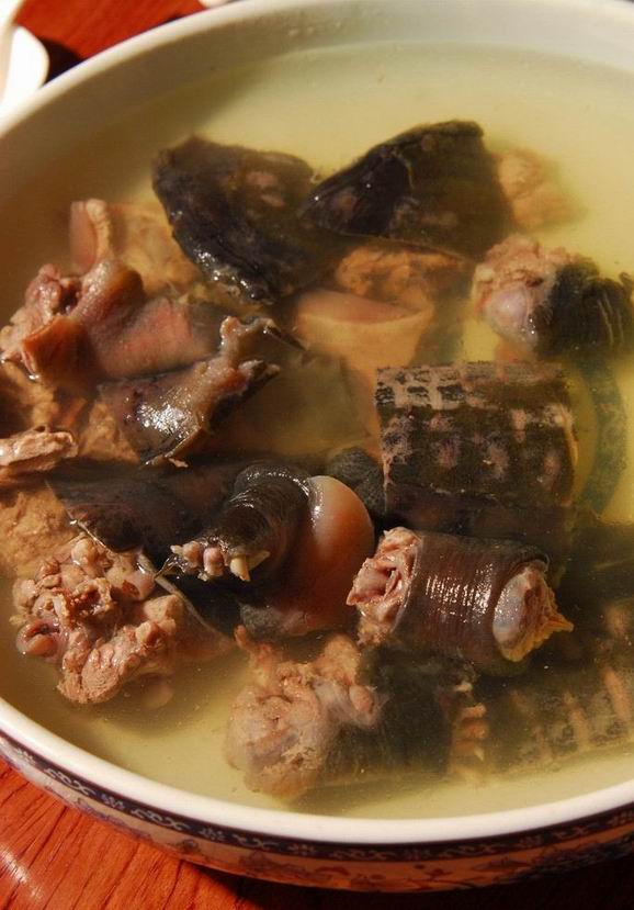 鮮美甲魚湯為迎接冬天補出好身體 鮮美甲魚湯為迎接冬天補出好身體