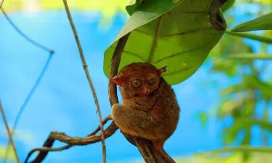 適合在冬天旅游的十個絕美海島！