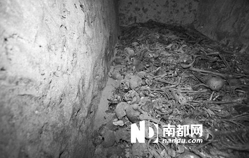 　5月29日，在以色列特拉維夫市雅法地區(qū)，一處集體墳?zāi)贡话l(fā)現(xiàn)。