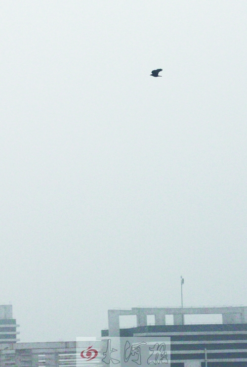 全省35個(gè)縣市發(fā)布惡劣天氣預(yù)警信號(hào)，其中15個(gè)發(fā)布大霧紅色預(yù)警