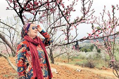 公式“時尚奶奶”的賞花照，收獲了好多人的點贊。 受訪者供圖