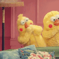 南京一小區(qū)內28條蟒蛇盤踞 養(yǎng)它們的竟是90后小伙