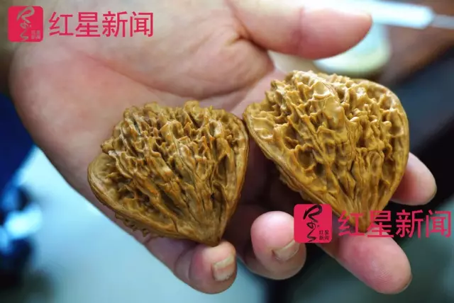 文玩核桃遇冷由幾萬一對降到5元沒人要？商戶否認