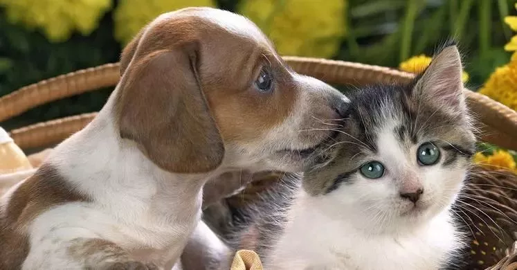 可憐！12歲女孩右眼完全失明 只因平時(shí)有這愛好