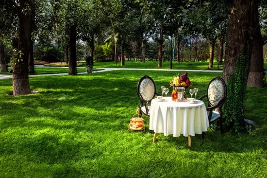 秋陽(yáng)鴻園，芳草青青