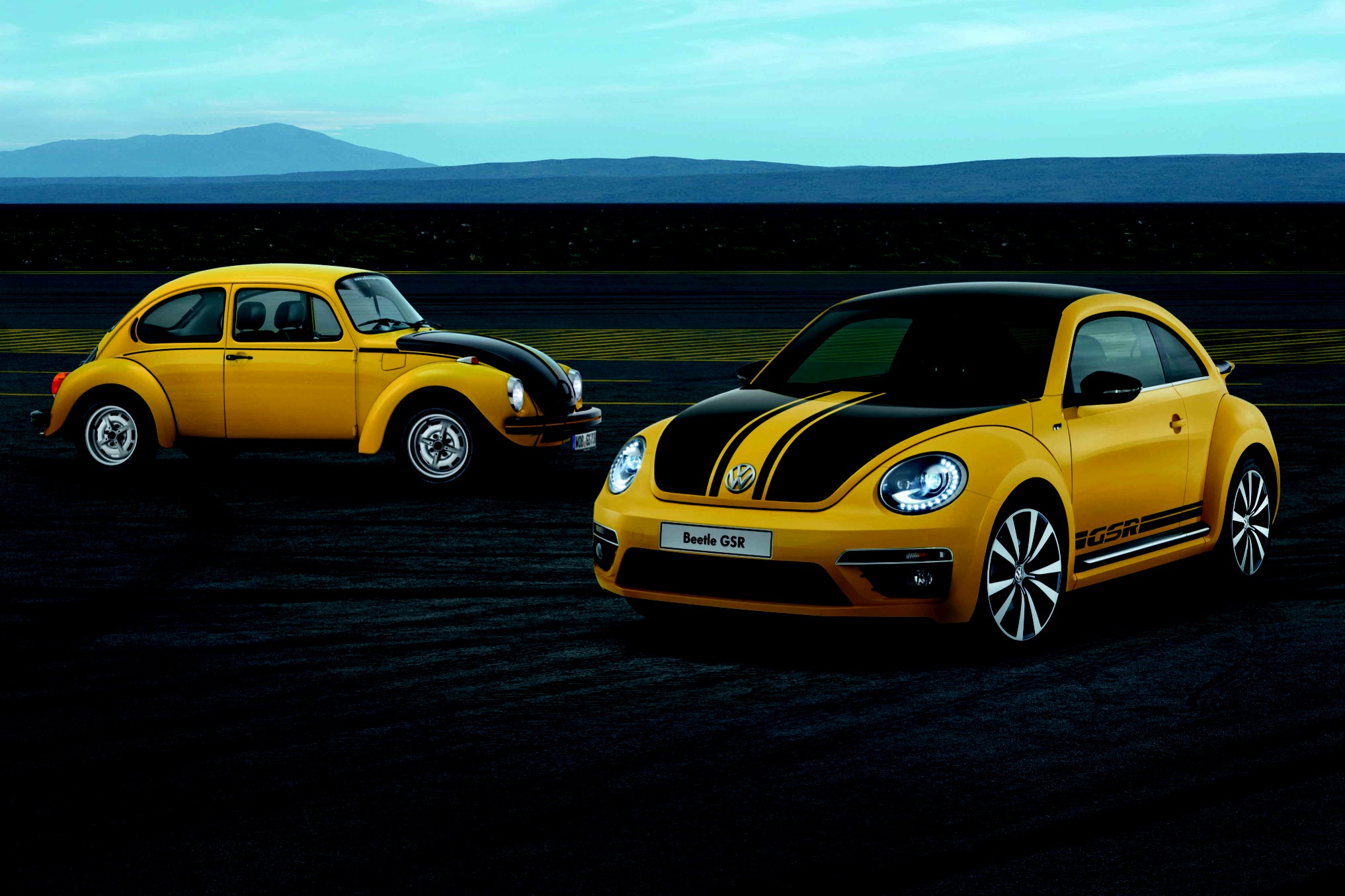 甲殼蟲(chóng)家族 甲殼蟲(chóng)家族