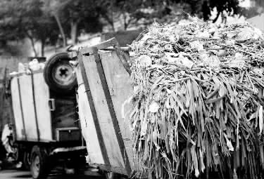 垃圾車、渣土車再在市區(qū)“裸奔”就是違法了