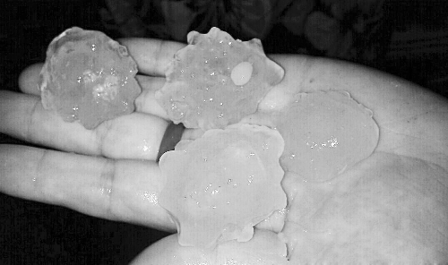 昨天凌晨，三門峽下起了冰雹，最大直徑近1厘米 微博截圖