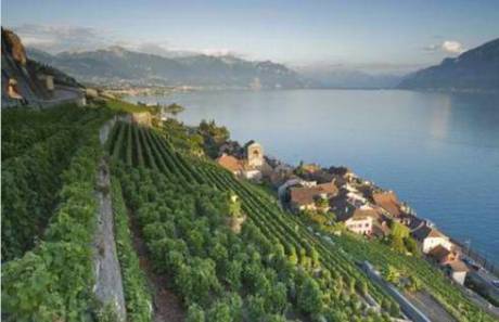 盤(pán)點(diǎn)幸福感最高的國(guó)家地區(qū) 盤(pán)點(diǎn)幸福感最高的國(guó)家地區(qū)