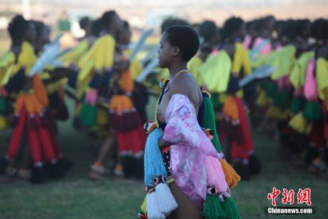 斯威士蘭蘆葦節(jié)開選秀女 斯威士蘭蘆葦節(jié)開選秀女