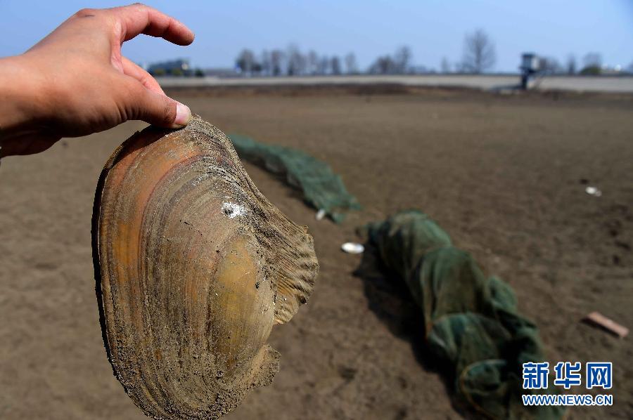 山東旱情 274座水庫(kù)干涸157條河道斷流 山東旱情 274座水庫(kù)干涸157條河道斷流