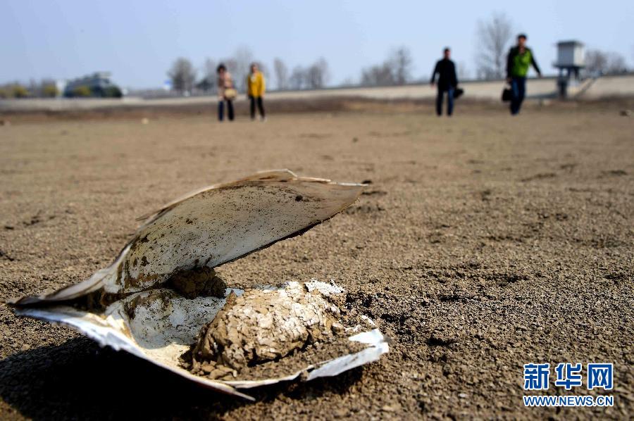 山東旱情 274座水庫(kù)干涸157條河道斷流 山東旱情 274座水庫(kù)干涸157條河道斷流