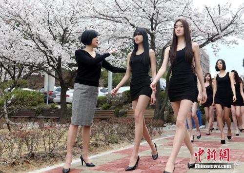 韓國(guó)女生櫻花下走秀 鮮花美腿相映成趣 韓國(guó)女生櫻花下走秀 鮮花美腿相映成趣