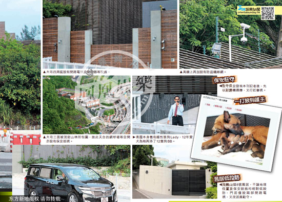 高墻圍鐵絲網(wǎng) 12只狼狗巡邏 高墻圍鐵絲網(wǎng) 12只狼狗巡邏