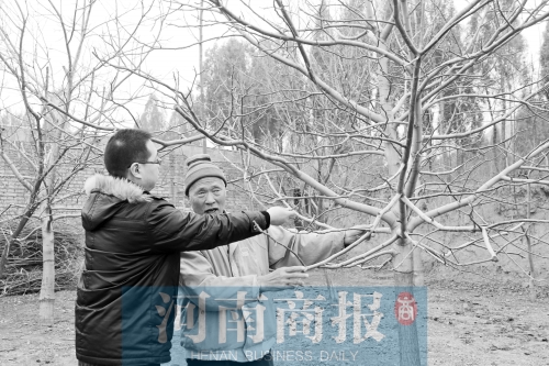 老人領(lǐng)著來(lái)訪者來(lái)看他親手種的樹,他雖然眼睛看不見(jiàn),但能用手摸到樹的成長(zhǎng) 記者 唐韜/攝 老人領(lǐng)著來(lái)訪者來(lái)看他親手種的樹,他雖然眼睛看不見(jiàn),但能用手摸到樹的成長(zhǎng) 記者 唐韜/攝