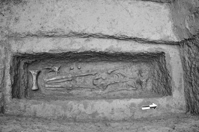 安陽二中發(fā)現商代古墓遺址 教學樓南北側均有墓葬