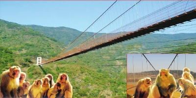 吊索橋效果圖(濟源當?shù)靥峁? alt=