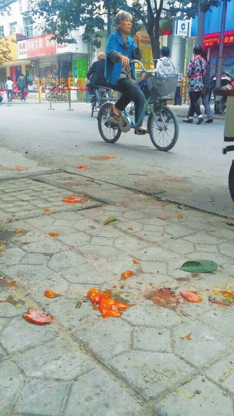 爛了一地的柿子影響市容，還常?；谷?。