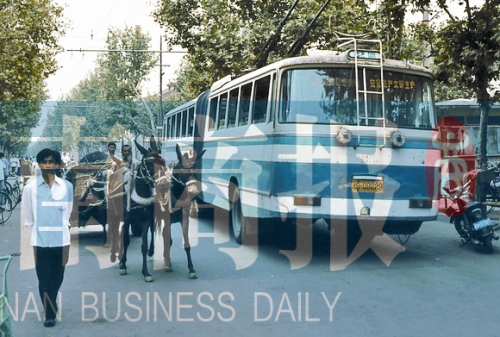 當(dāng)年的伏牛路，驢車和公交車并行