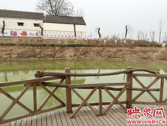 護欄損毀的地方，已經(jīng)被兩根樹干擋住。