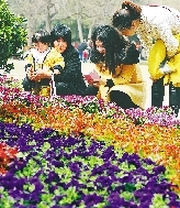 近距離才能拍得更真切。