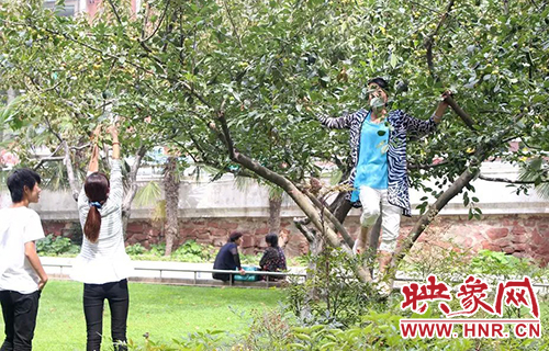 爬樹(shù)摘果子