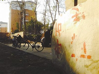 昨日，“上海奇石盆景博物館”原址上，已矗立起小區(qū)樓盤，而刻著博物館名的巨石，廢棄在一旁。本版圖片/新京報記者 張永生 攝