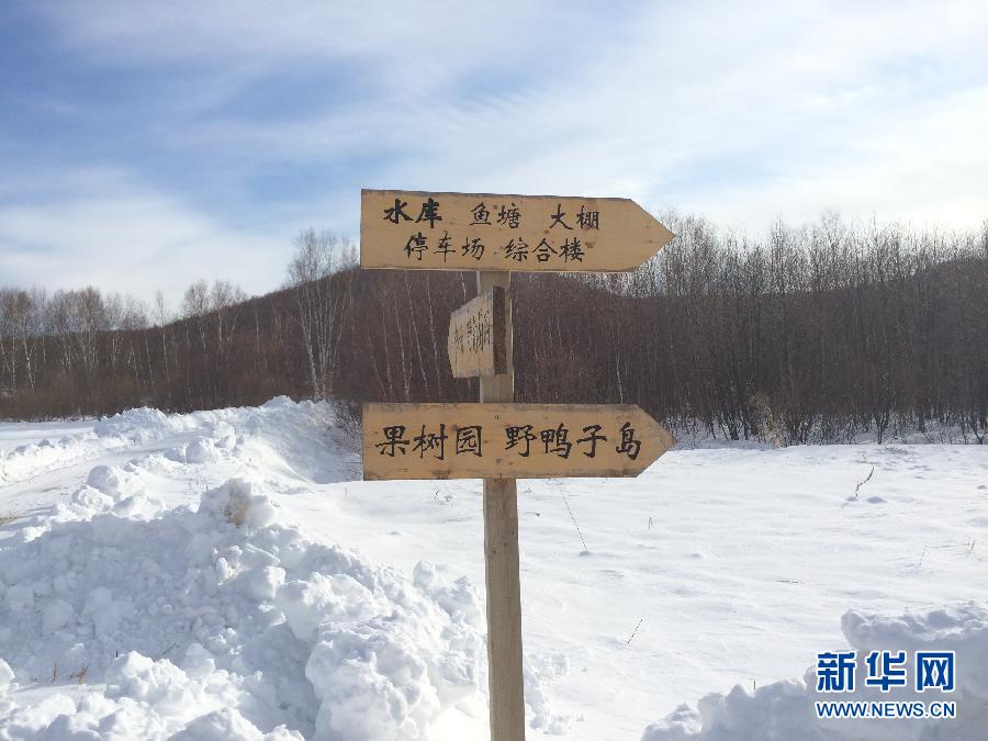 穗豐園里的標(biāo)識牌（2013年12月8日攝）。新華社記者王子辰攝