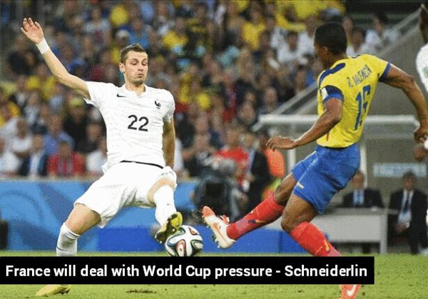 施內(nèi)德林:法國(guó)會(huì)直面壓力 施內(nèi)德林:法國(guó)會(huì)直面壓力