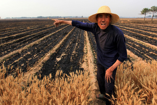 河南省滑縣、內(nèi)黃縣麥田著火，麥壟套種的花生、玉米苗也被烤焦，群眾損失慘重