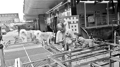 華北地區(qū)最大狗市面臨全面清退 華北地區(qū)最大狗市面臨全面清退