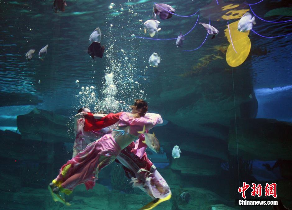 9月7日，在中秋節(jié)到來前一天，山東泉城海洋極地世界為游客帶來“嫦娥水中奔月”表演。