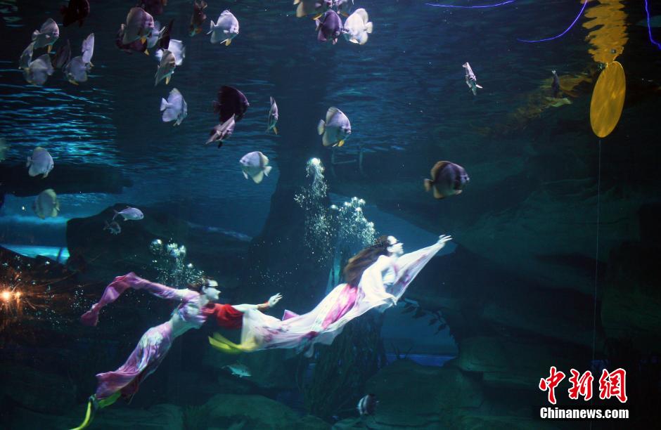 9月7日，在中秋節(jié)到來前一天，山東泉城海洋極地世界為游客帶來“嫦娥水中奔月”表演。
