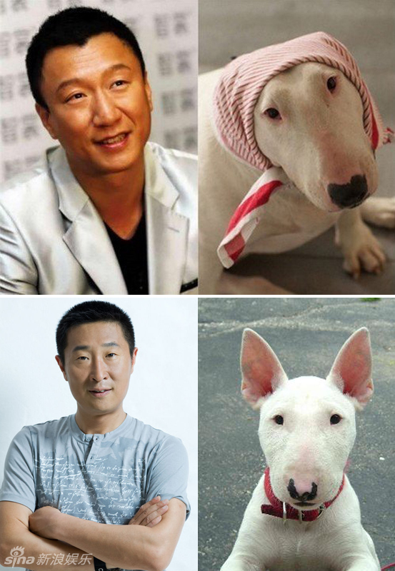 不小心就撞臉了！盤點動物界的明星相