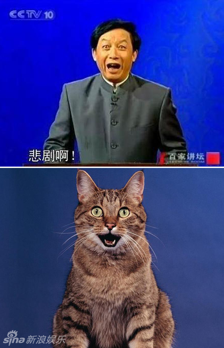 不小心就撞臉了！盤點動物界的明星相