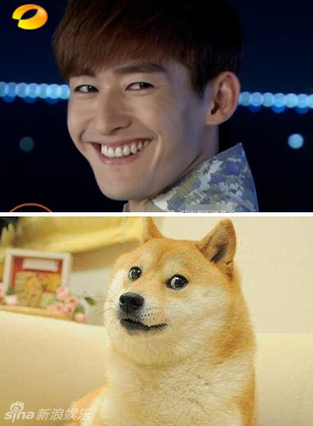 不小心就撞臉了！盤點動物界的明星相