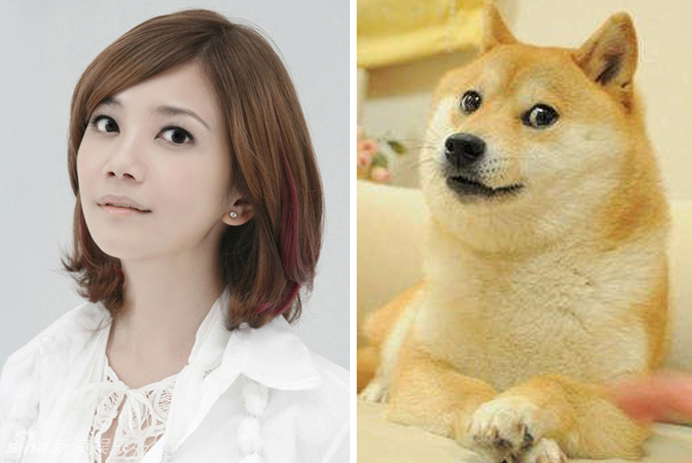 不小心就撞臉了！盤點動物界的明星相