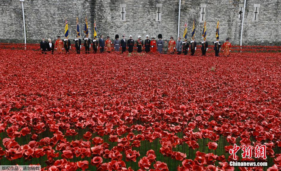 當(dāng)?shù)貢r(shí)間2014年11月10日，英國倫敦，倫敦塔周邊“種植”了888246朵陶瓷材質(zhì)的罌粟花，以此紀(jì)