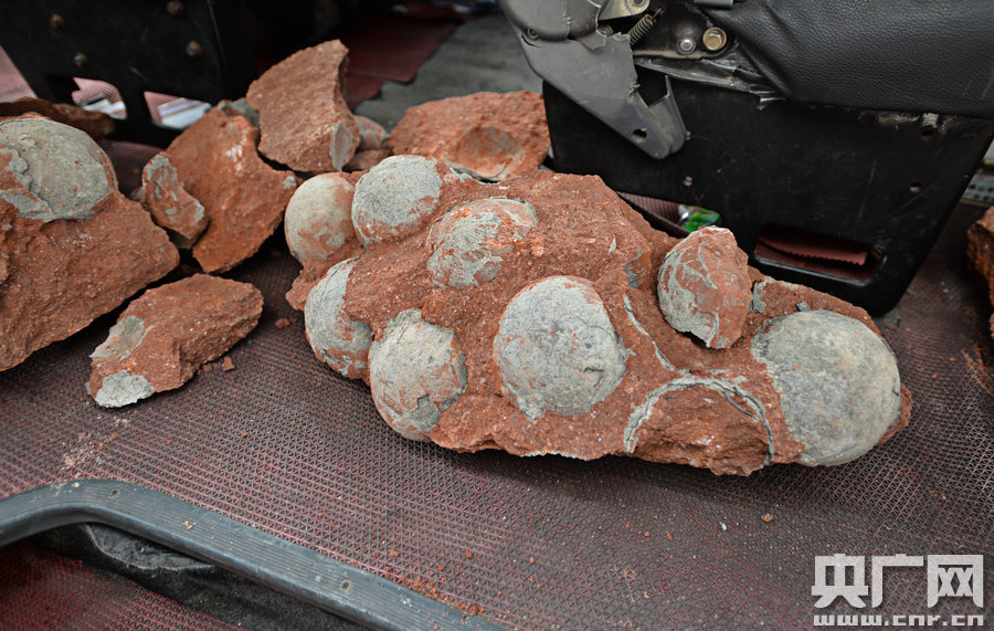 其中完整的19枚，都是直徑約13厘米的“大個(gè)子”。