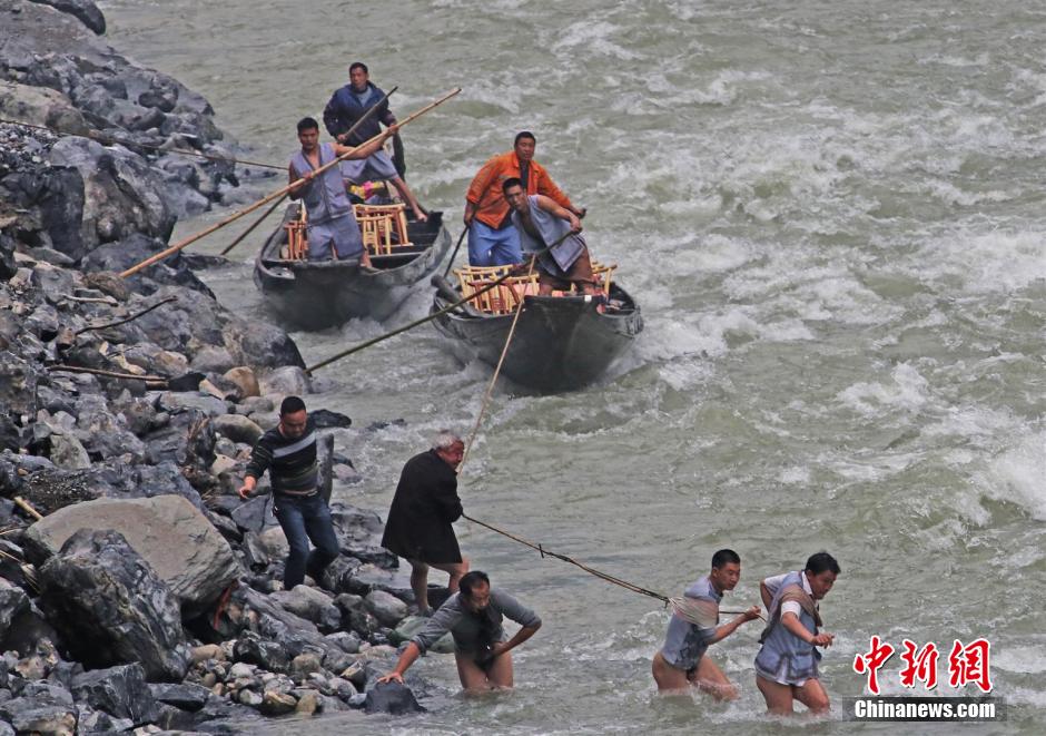 纖夫在神農(nóng)溪畔牽引木船溯溪而上。