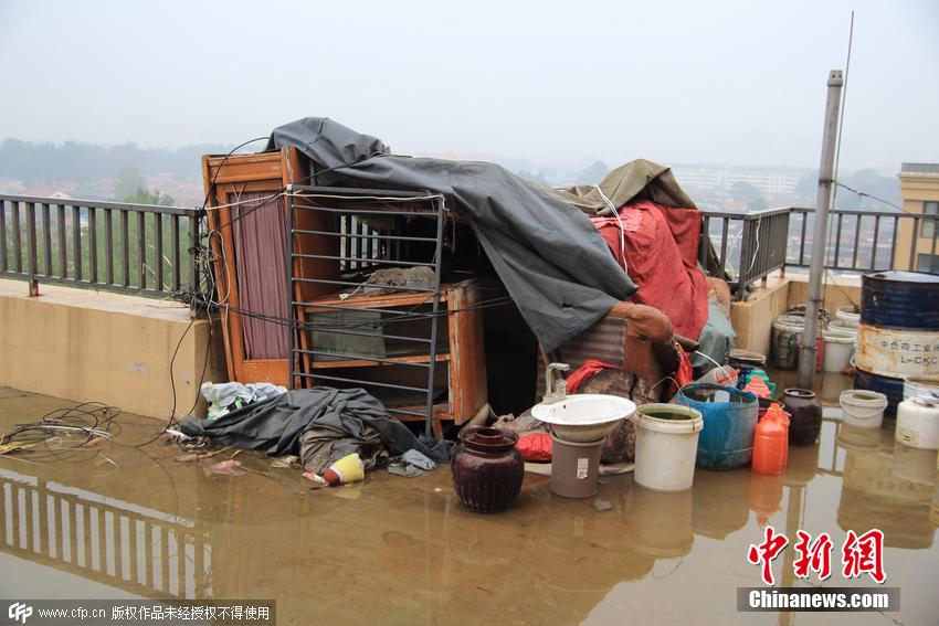 公共天臺變菜園 公共天臺變菜園