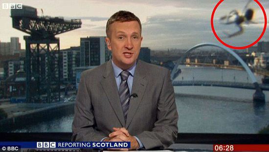 BBC直播被覓食蜘蛛搶鏡 投影作用放大數(shù)倍 BBC直播被覓食蜘蛛搶鏡 投影作用放大數(shù)倍