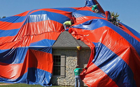 美家庭新買住房中發(fā)現(xiàn)6000只毒蜘蛛 獲賠47萬美元(組圖) 美家庭新買住房中發(fā)現(xiàn)6000只毒蜘蛛 獲賠47萬美元(組圖)